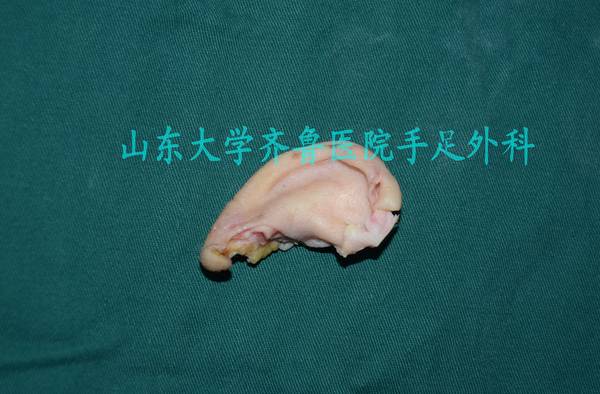 DSC_0243_conew1.jpg
