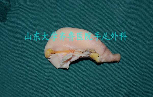 DSC_0245_conew1.jpg
