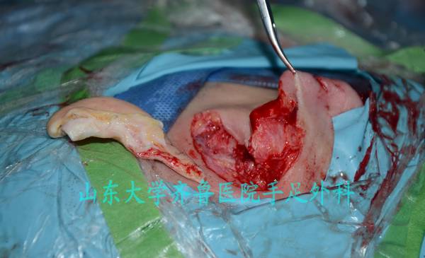 DSC_0255_conew1.jpg