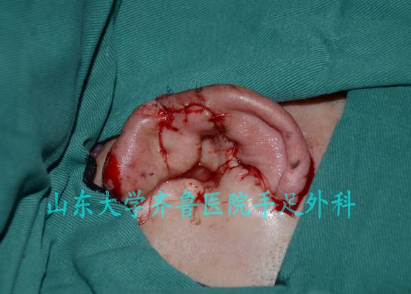 DSC_0276_conew1.jpg