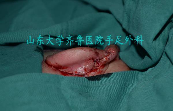 DSC_0281_conew1.jpg