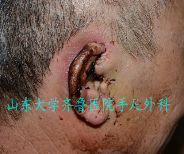 DSC_3590_conew1.jpg