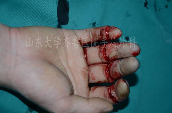 DSC_4823_conew1.jpg