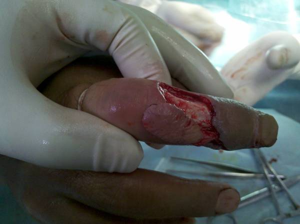 2012-05-22_11-05-11_267.jpg