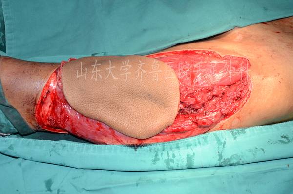 DSC_5673_conew1.jpg