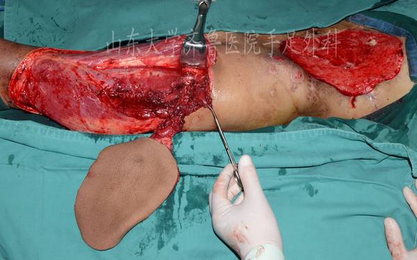 DSC_5678_conew1.jpg
