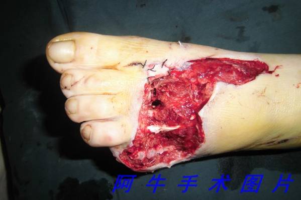 cimg0542[1].jpg