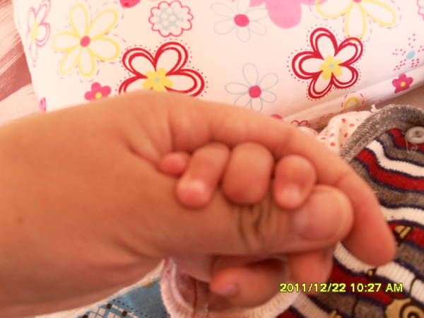 SDC12359.JPG
