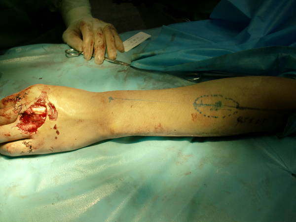 CIMG5090.JPG