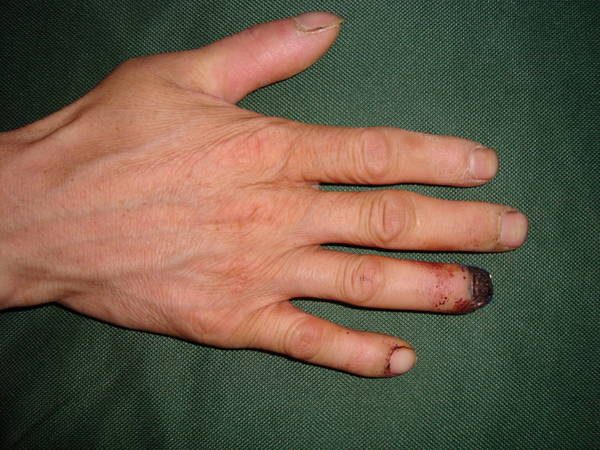 DSC08383.JPG