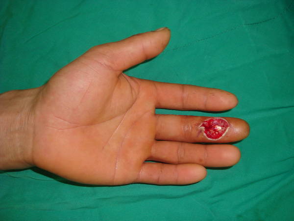 DSC01400.JPG