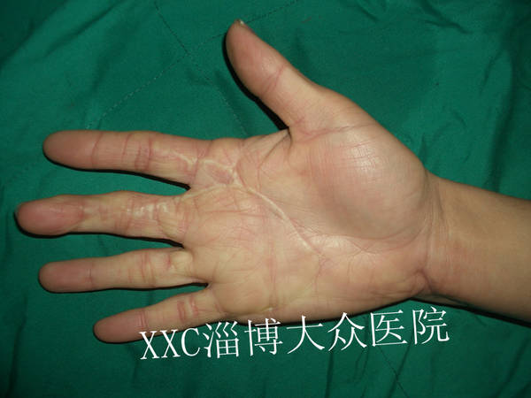 CIMG7494_副本.jpg