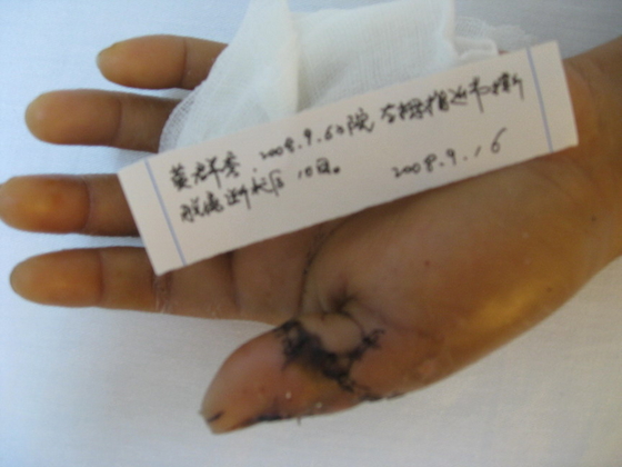 照片 312.jpg