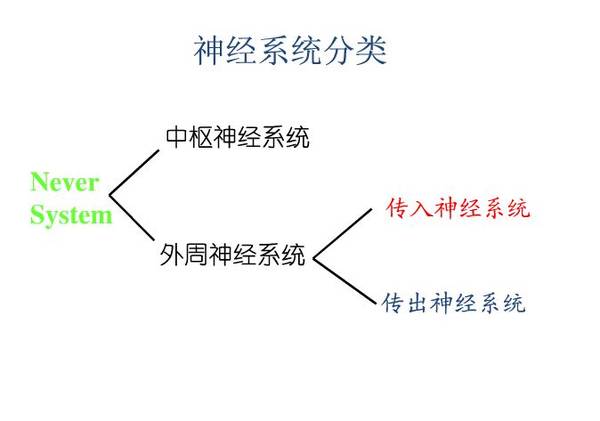 捕获.JPG