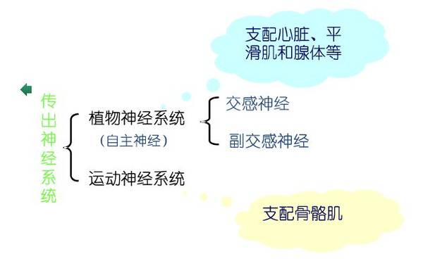捕获1.JPG