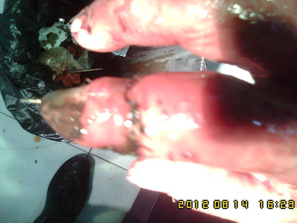 IMG01277.jpg