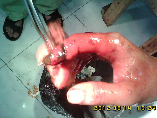 IMG01279.jpg