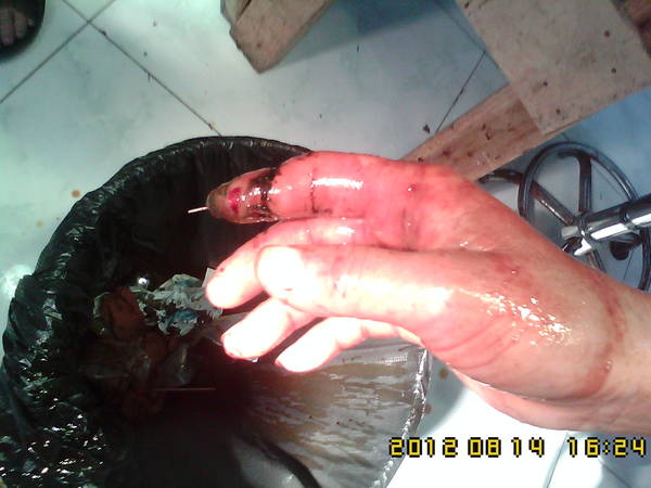 IMG01280.jpg