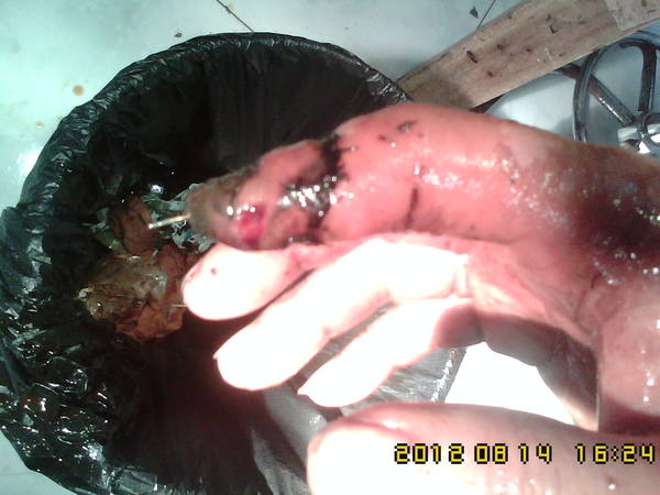 IMG01282.jpg