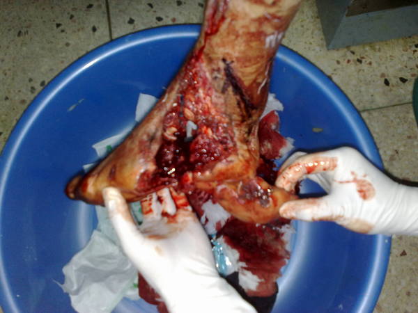 201205051526.jpg