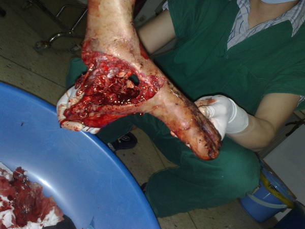 201205051529.jpg