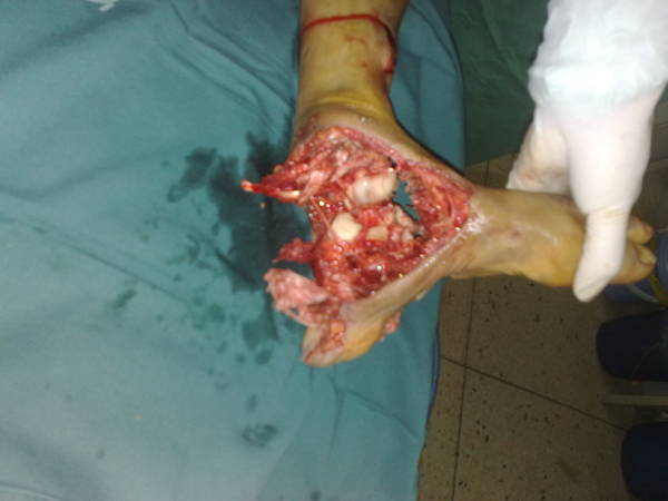 201205051534.jpg
