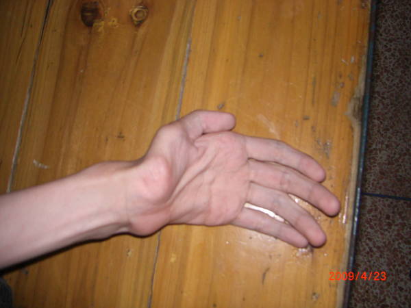 CIMG0764.JPG