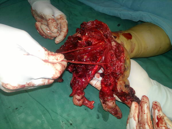 2012-08-13-110.jpg
