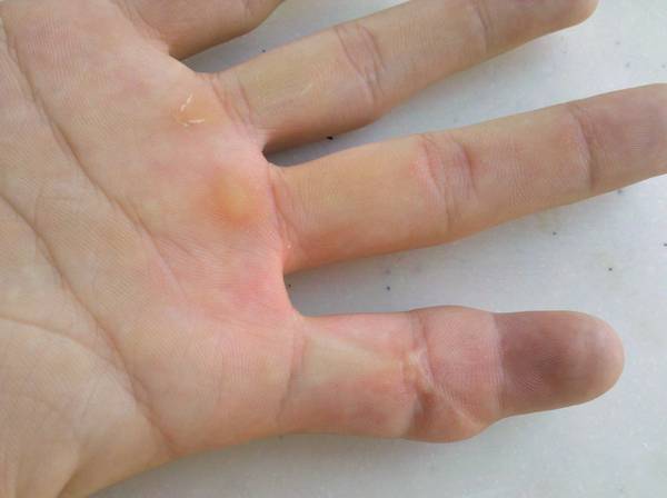 2012-07-24_09-59-27_358.jpg