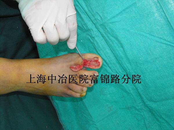 照片 010.jpg