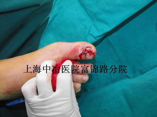 照片 015.jpg