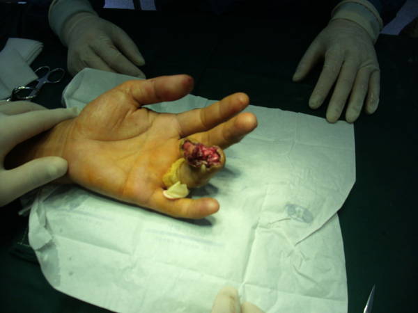 GEDC0025.JPG