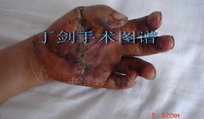 DSC02130.jpg