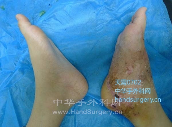 P1020658_副本.jpg