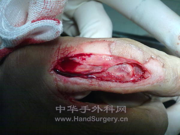 20110929035.jpg