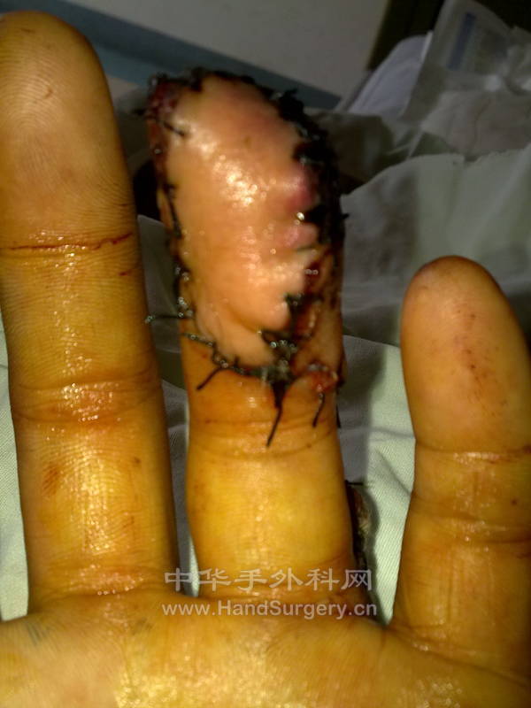 20111102201.jpg