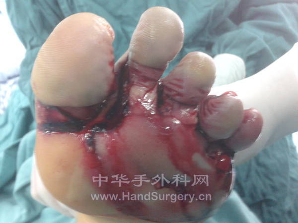 20120825_170652.jpg