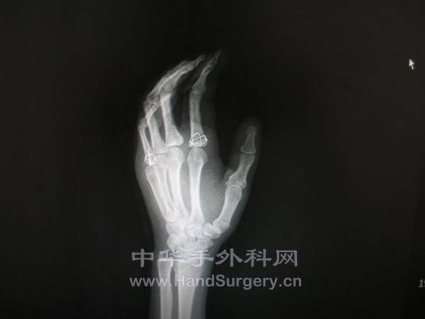 照片 1088.jpg