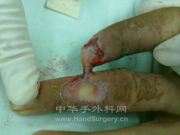 20120910337.jpg