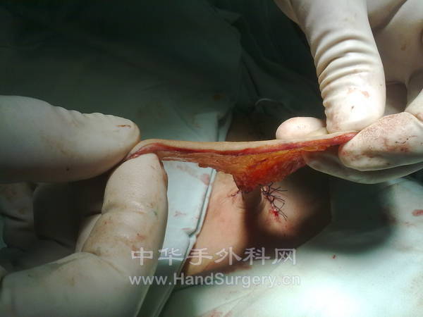 20120911371.jpg