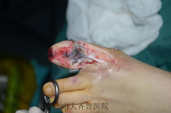 conew_dsc_1526.jpg
