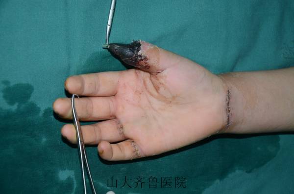 conew_dsc_6722.jpg