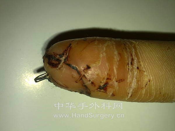 20111028165.jpg