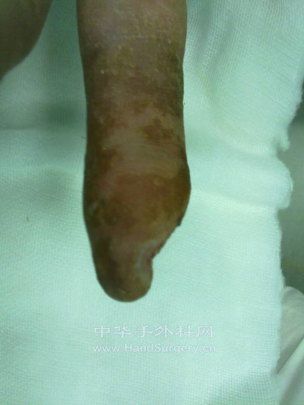 20120920439.jpg