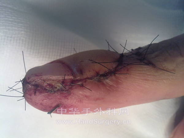 20120929502.jpg