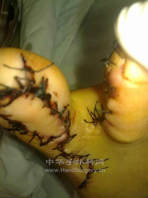 20120929509.jpg
