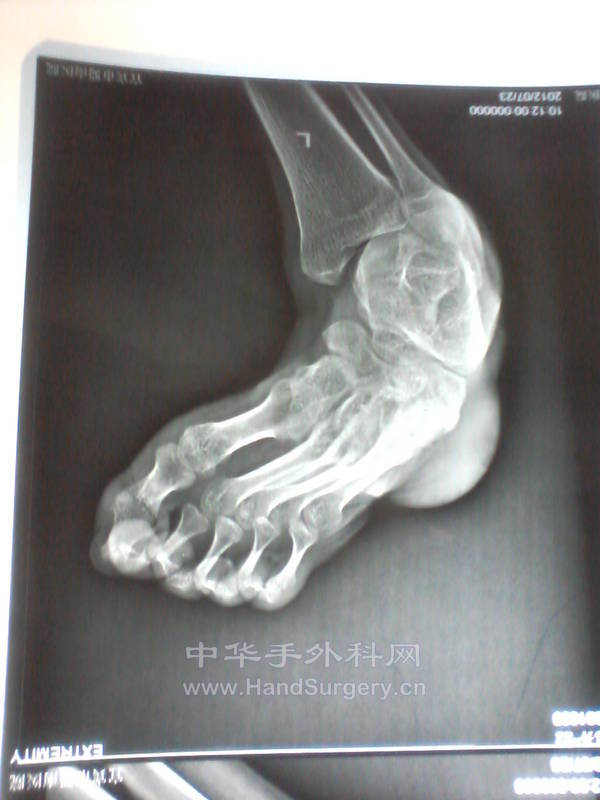 照片-0036.jpg