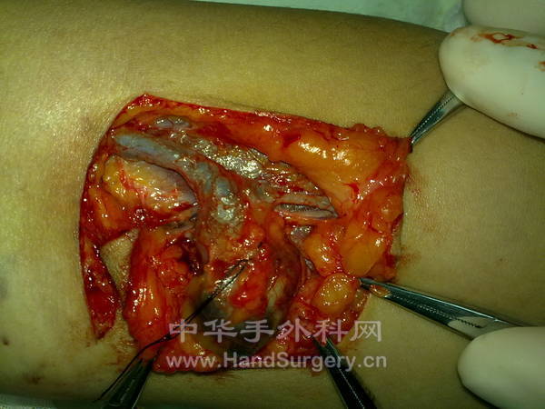 201205161048.jpg
