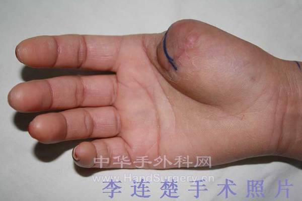 照片 032.jpg