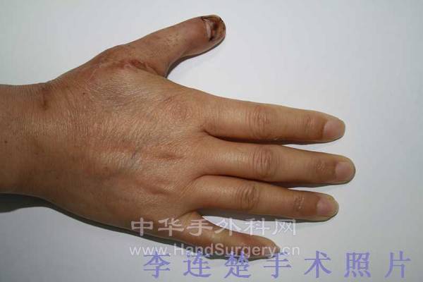 照片 059a.jpg